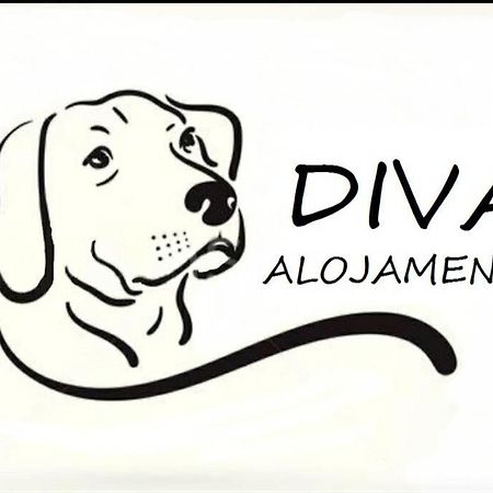 Diva Alojamento 马托西纽什 外观 照片